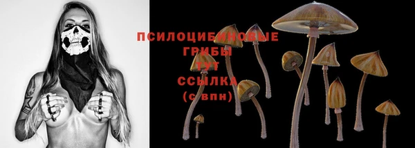 прущие крисы Армянск