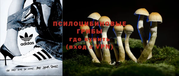 прущие крисы Армянск