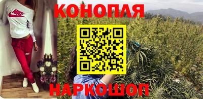 гидра Беслан